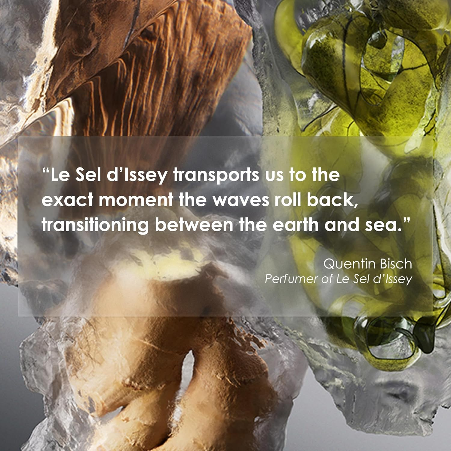 Issey Miyake Le Sel D'Issey EDT 100Ml image number 1