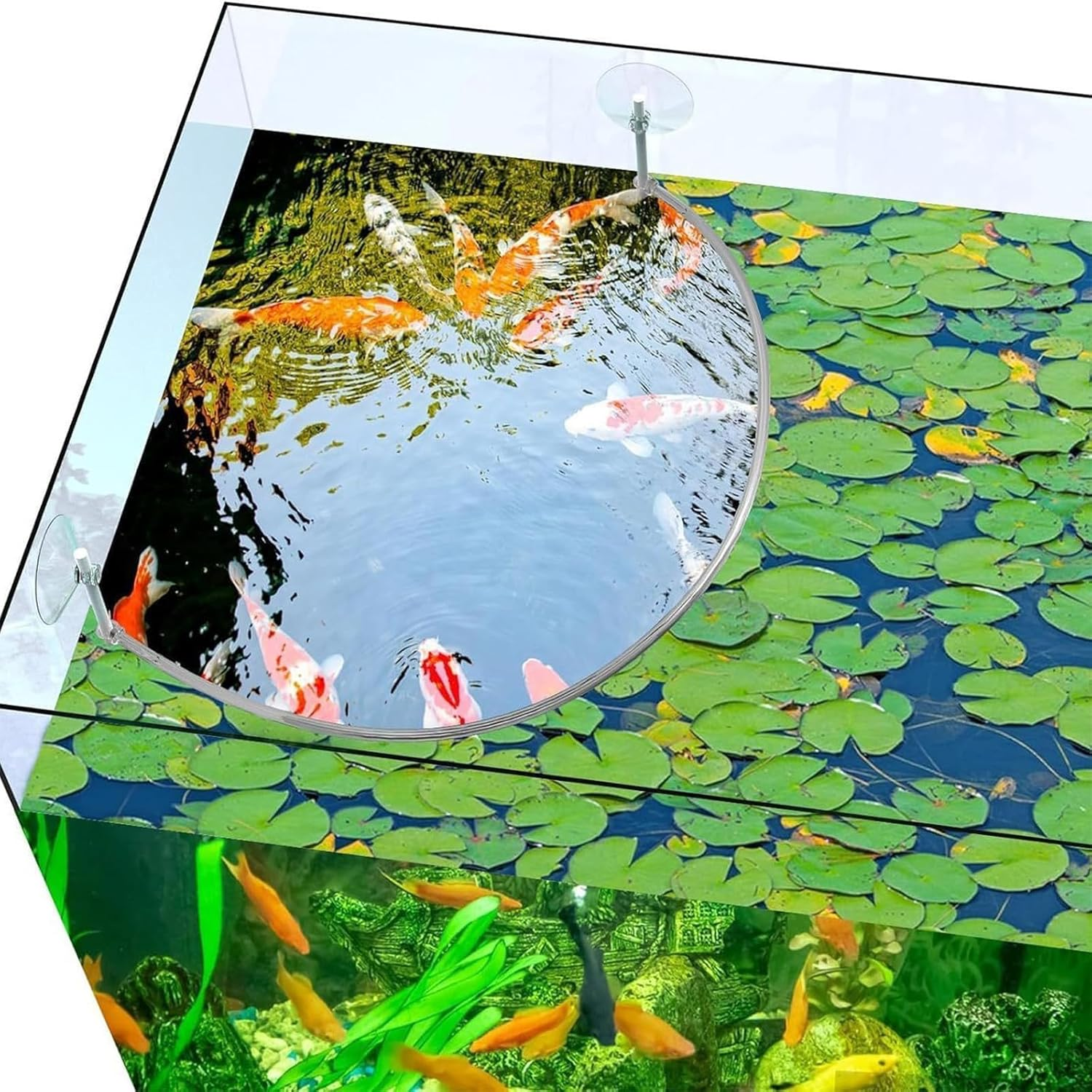 Aquarium Floating Plant Fence - Adjustable Height Fish Feeding Ring - Transparent Barrier - Suction Cups - Multi-Purpose Interceptor Floating Plant
