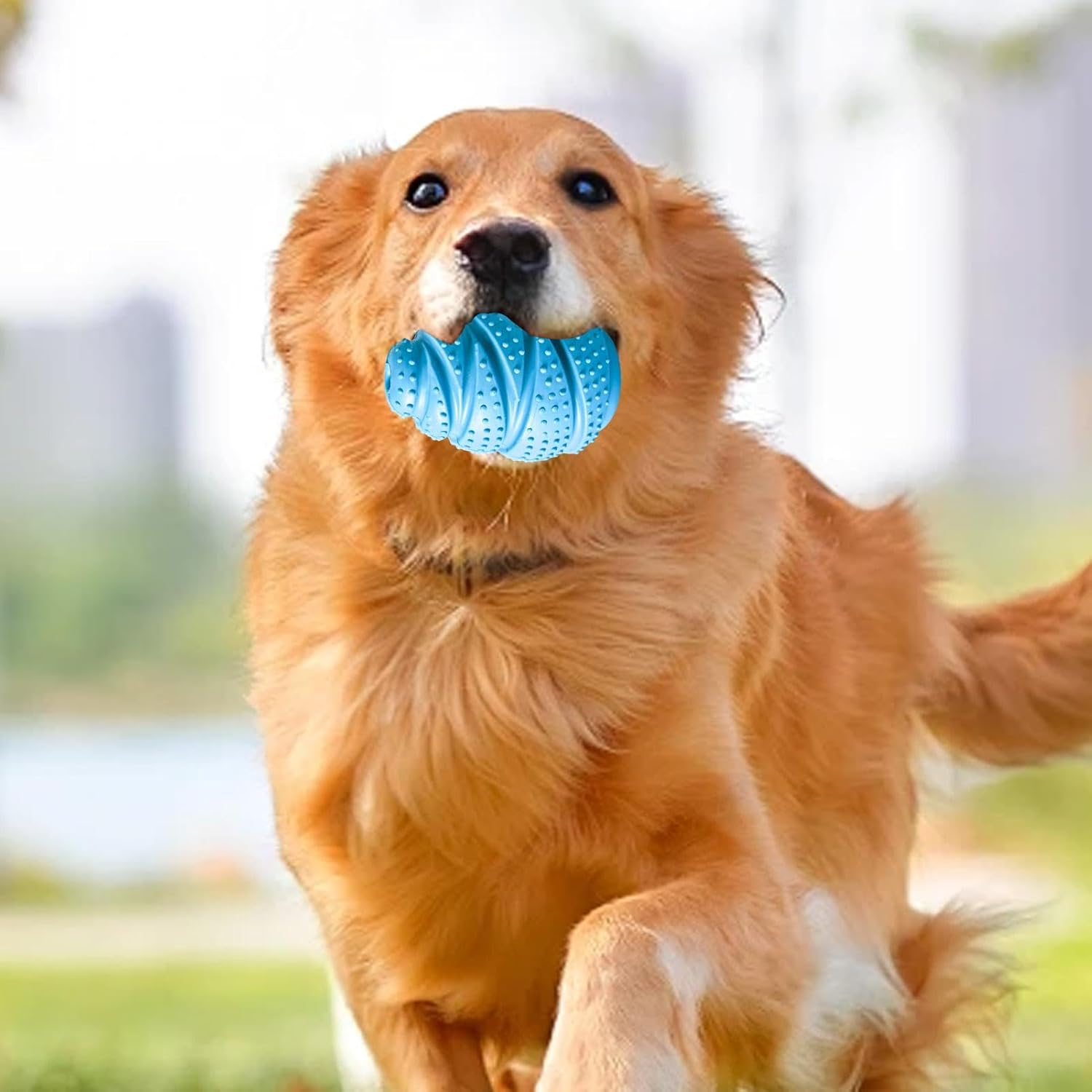 Dog Food Dispenser Toy, Toy Treat Dispenser for Dogs, Rubber Materia Teething Toys for Dog, Training, and Food Distribution image number 3