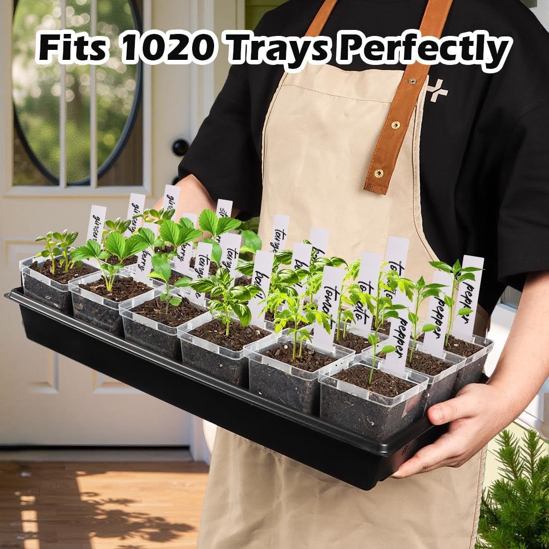 Rootrimmer 3.3 Inch Clear Nursery Pots with Drainage,90 Pack Square Seedling Pots with Plant Lables,Reusable Seed Starter Pots for Succulents Transplanting Herbs Flowers Tomato Windowsill Gardening image number 1