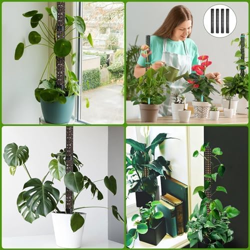 MLUOTALY Plastic Moss Poles for Climbing Plants, Indoor Plants Hollow Plant Pole with Labels and Garden Ties, Stackable Plant Support Stakes for Indoor Plants, Monstera, Vines (4PCS) - 4Pcs image number 4