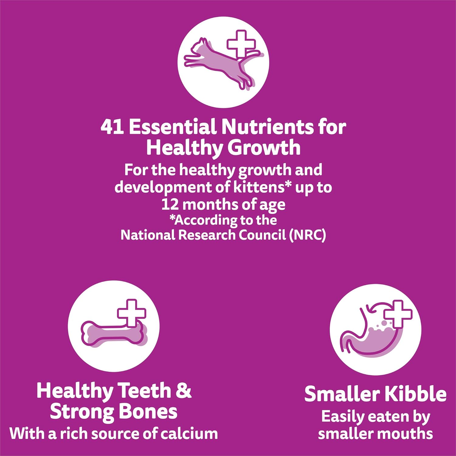 Whiskas Kitten Dry Cat Food Chicken & Tuna 800G Bag, 6 Pack image number 3