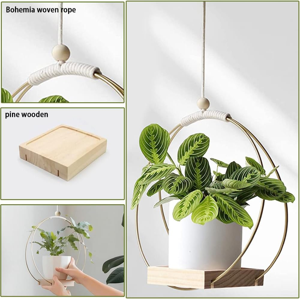 Hanging Planter with Wood Base, Modern Macrame Plant Hanger for Indoor Outdoor Wall Ceiling Window Boho Home Decoration, Gold (Planter/Plants Not Included) image number 1