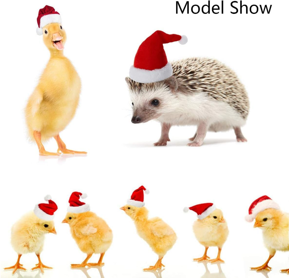 4Pcs Chicken Hats for Hens Chicken Christmas Santa Claus Hat with Adjustable Chin Strap for Poultry Hen Rooster Goose Duck Parrot Christmas Dress up Supplies (Red, One Size)