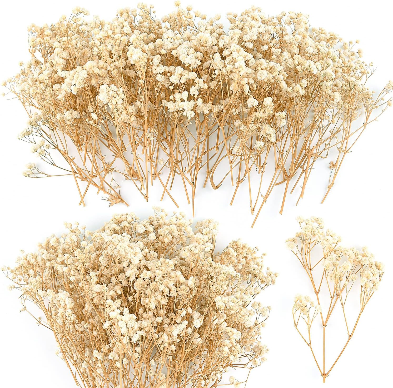 70Pcs Mini Dried Baby'S Breath Flowers 4000+Natural Bulk Flowers Real Flowers Pressing Floral Dried Flowers Pressed Gypsophila Bouquet for Hair Accessory Wedding Card Making (Ivory White)
