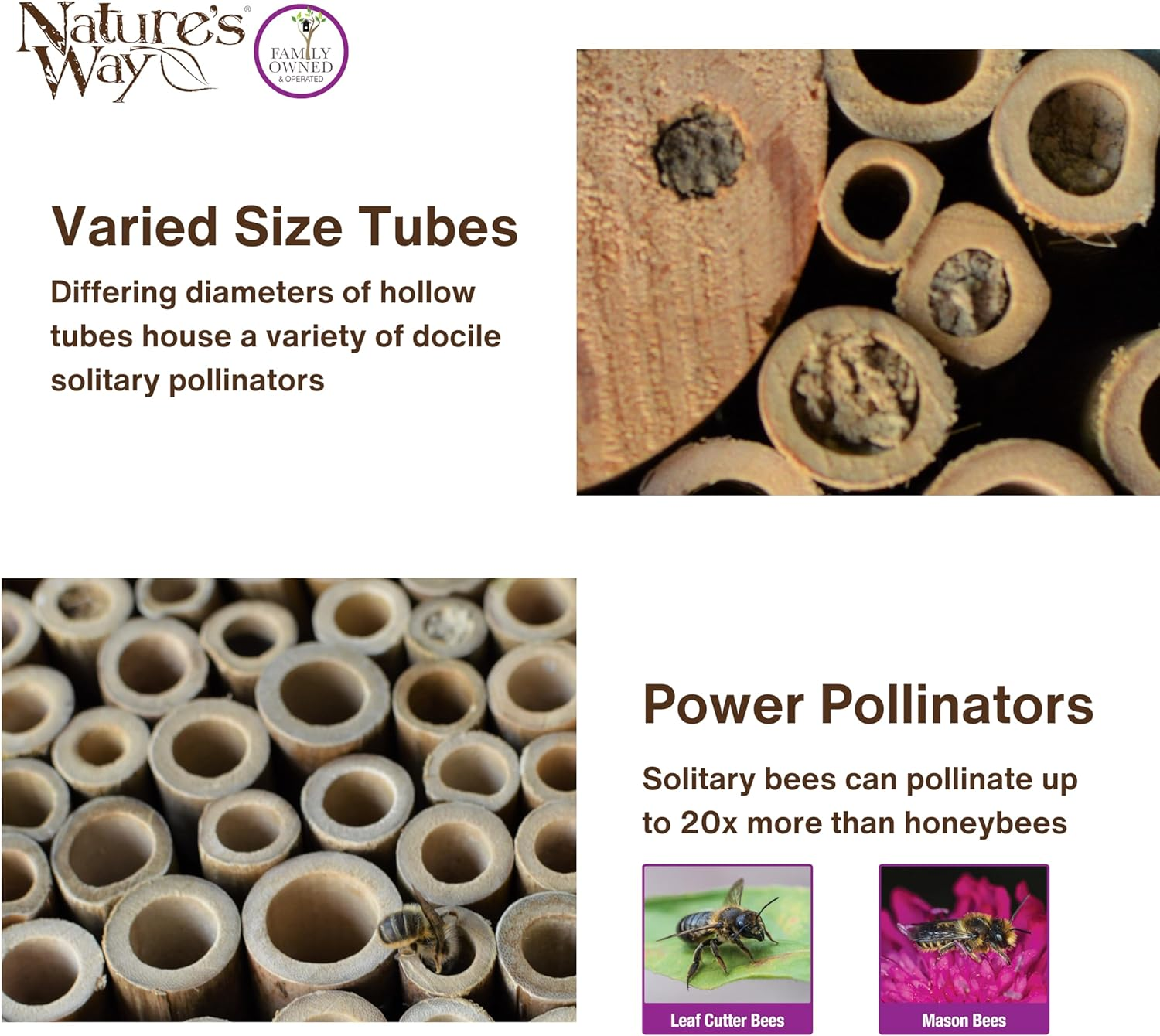 Nature'S Way Bird Products PWH1-C Teal Bee House - Teal image number 5