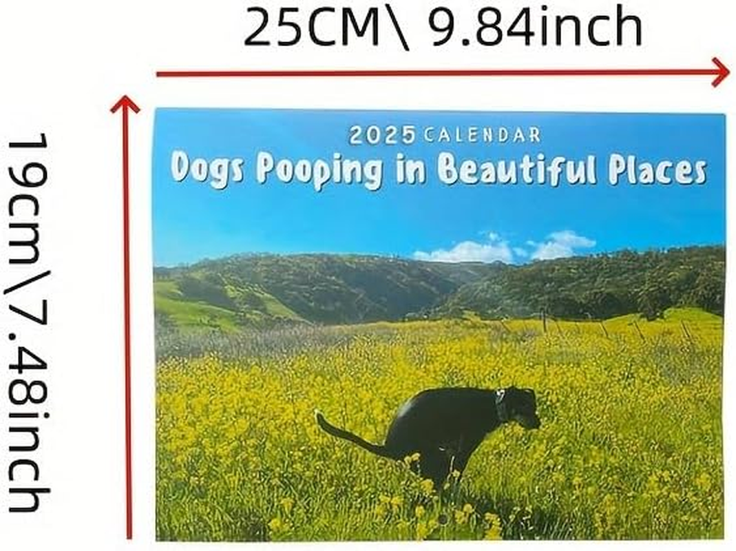 2025 Dogs Pooping in Beautiful Places Wall Calendar - Laminated, Everyday View, Humorous Canine Defecation in Scenic Settings, Monthly Grid Pages, Full-Year Planner image number 4