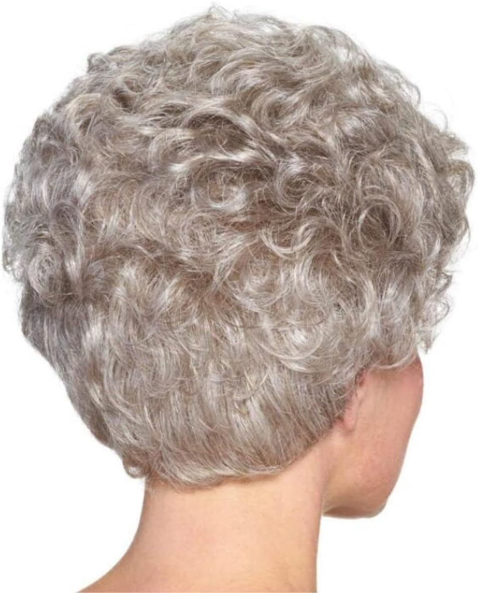 Daily Wig Old Lady Wigs, Short Grey Curly Human Hair Blended Wigs for Elderly Women Wigs
