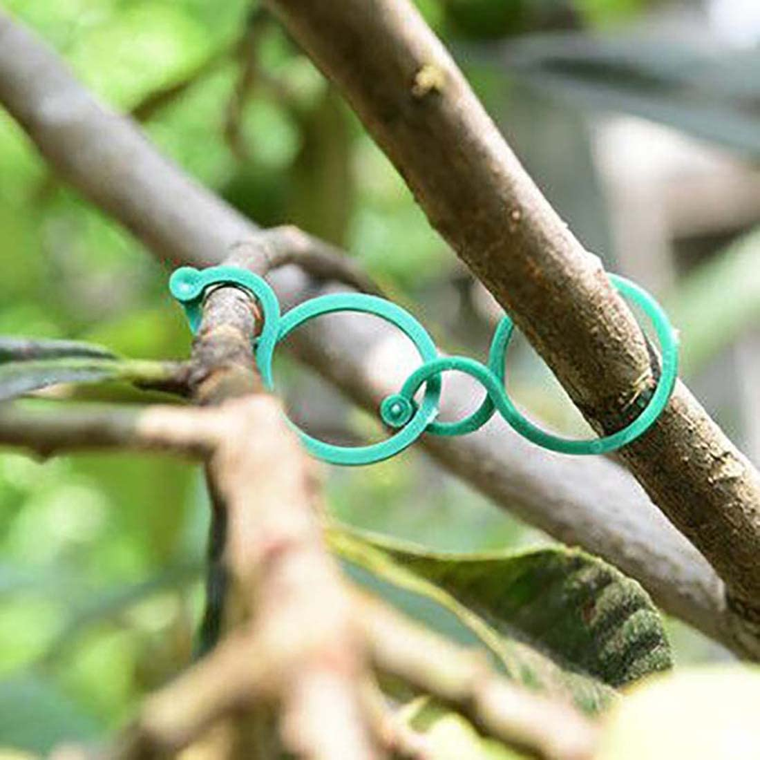 100Pcs Plant Support Clips for Garden Flowers, Vines, Vegetables - Plastic Locks for Helping Secure Plants to Grow Upright image number 4