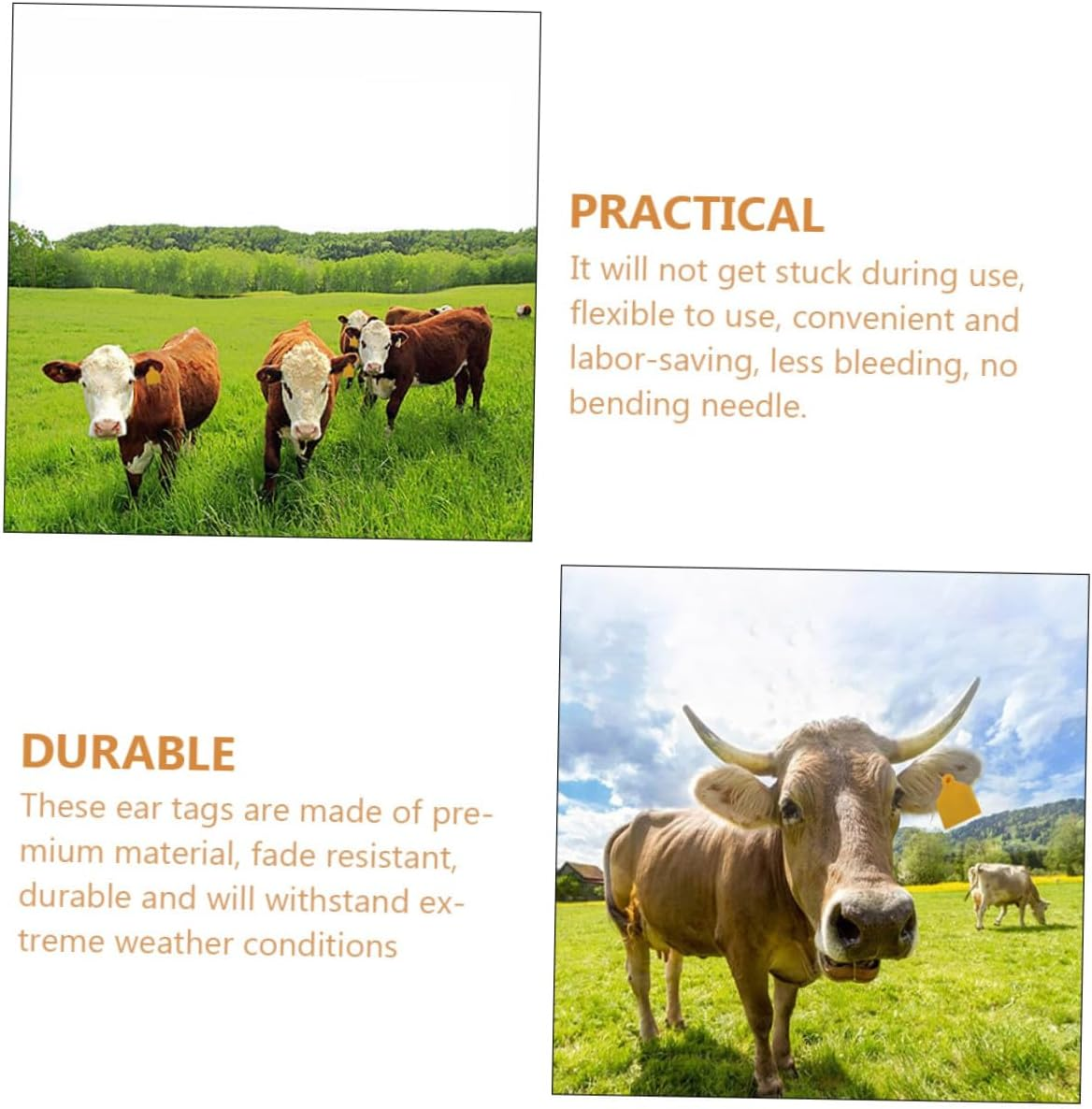 Milisten 100Pcs Blank Livestock Ear Tags for Cattle Sheep Pigs Flexible Fade Resistant Animal Identification Tags Suitable for Farm Use