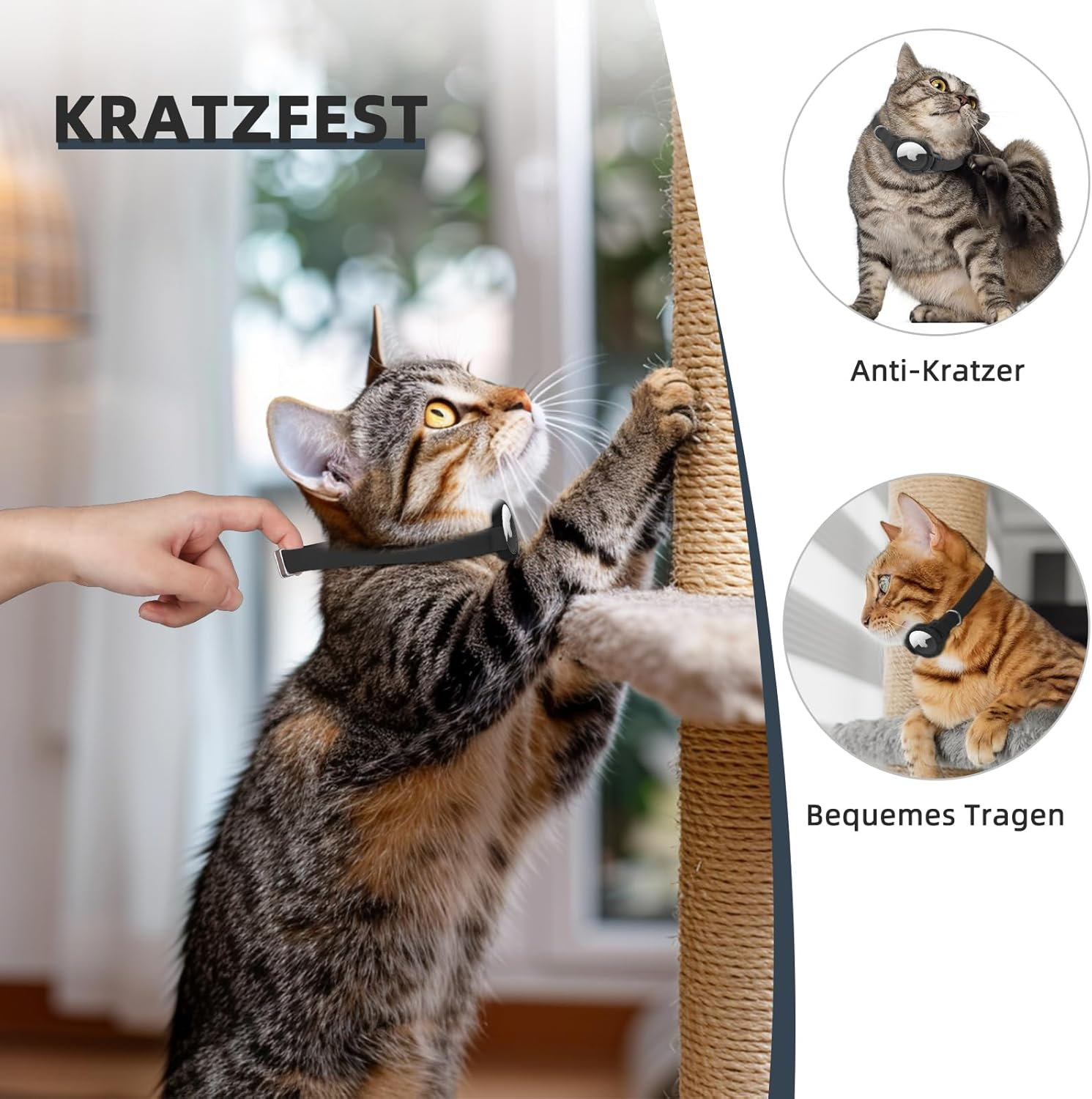 Airtag Cat Collar, Elastic GPS Kitten Collar with Air Tag Holder, Lightweight and Comfortable, Stretchy Cat Tracker Collars for Cats, Kittens and Puppies, 8-12 Inches, Black