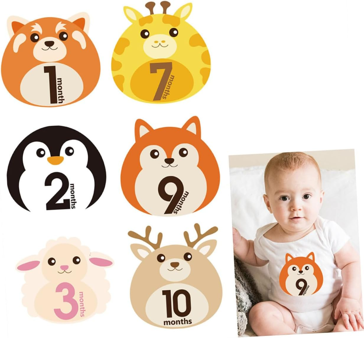 12 Sheets Milestone Stickers Animal Design Self-Adhesive Monthly Decals Reusable for Newborn Photo Albums and Growth Tracking image number 4