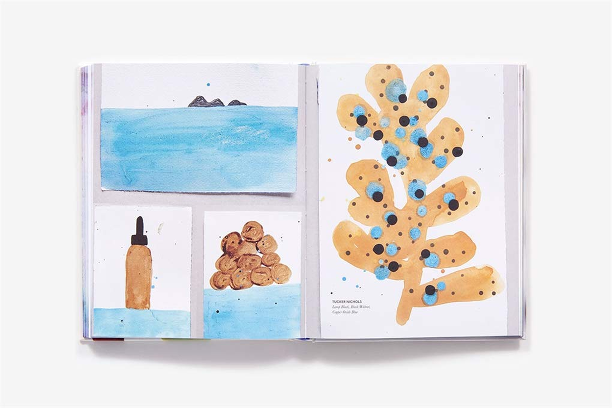 Make Ink: a Forager&rsquo;S Guide to Natural Inkmaking image number 6