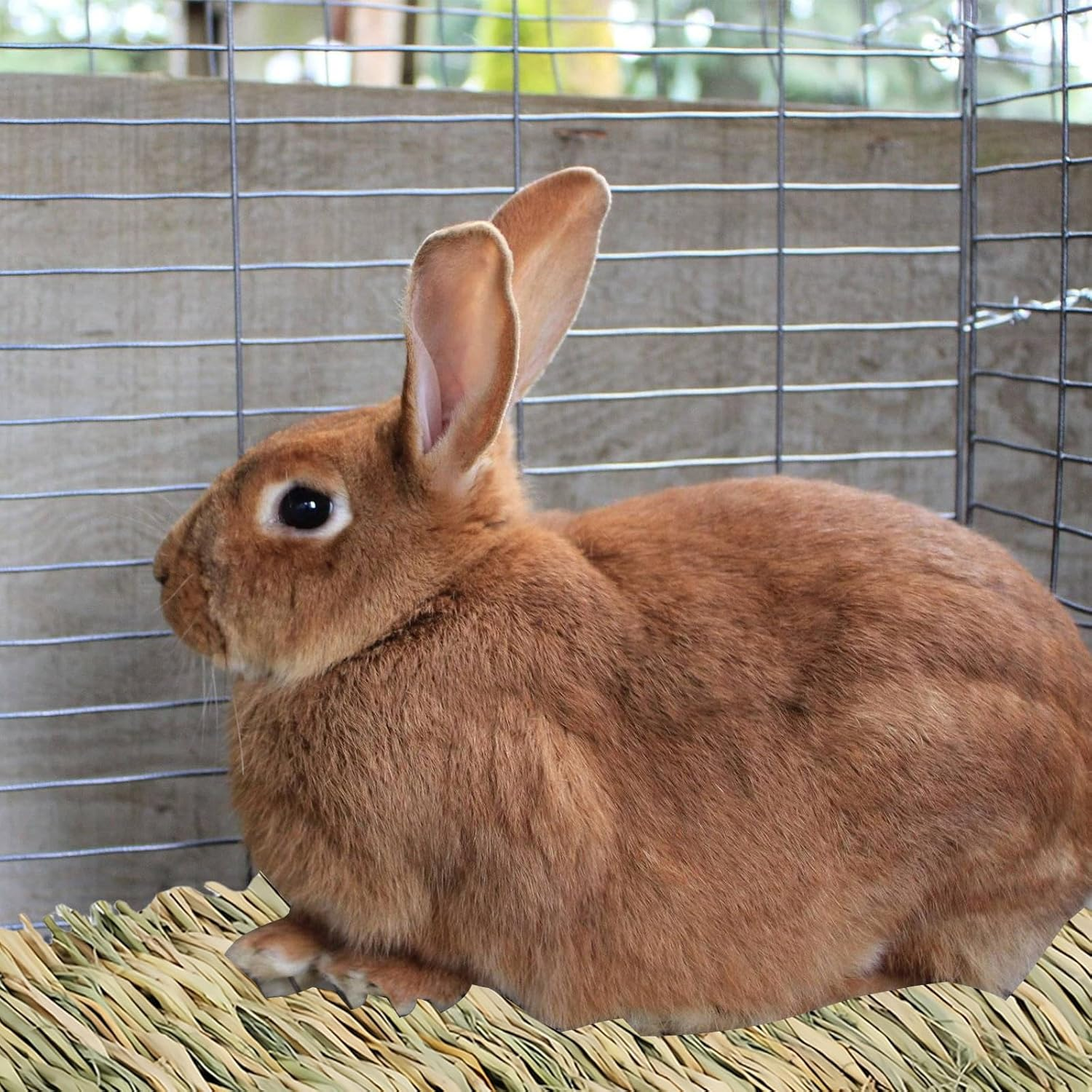 GBKDQQ Pack of 8 Small Animal Grass Mats, 28 X 20 Cm Woven Grass Mat, Rabbit Bed, Naturally Safe and Edible, Animal Chew Toy for Guinea Pigs, Rabbits, Hamsters, Mice image number 4