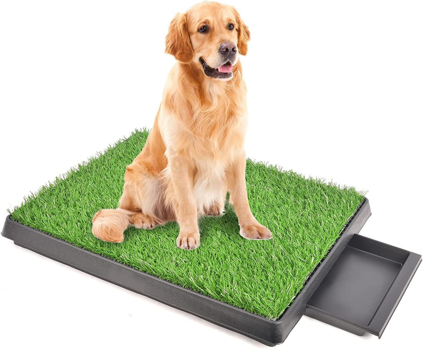 Artificial Grass Dog Pee Pad Potty - Artificial Grass Patch for Dogs - Pet Litter Box image number 3