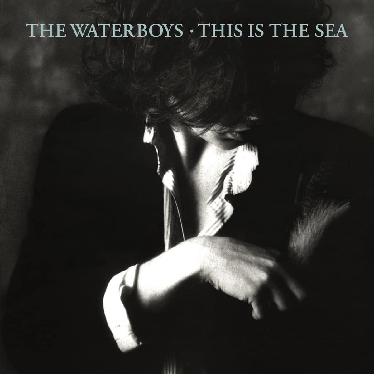 This Is the Sea (LP) image number 1