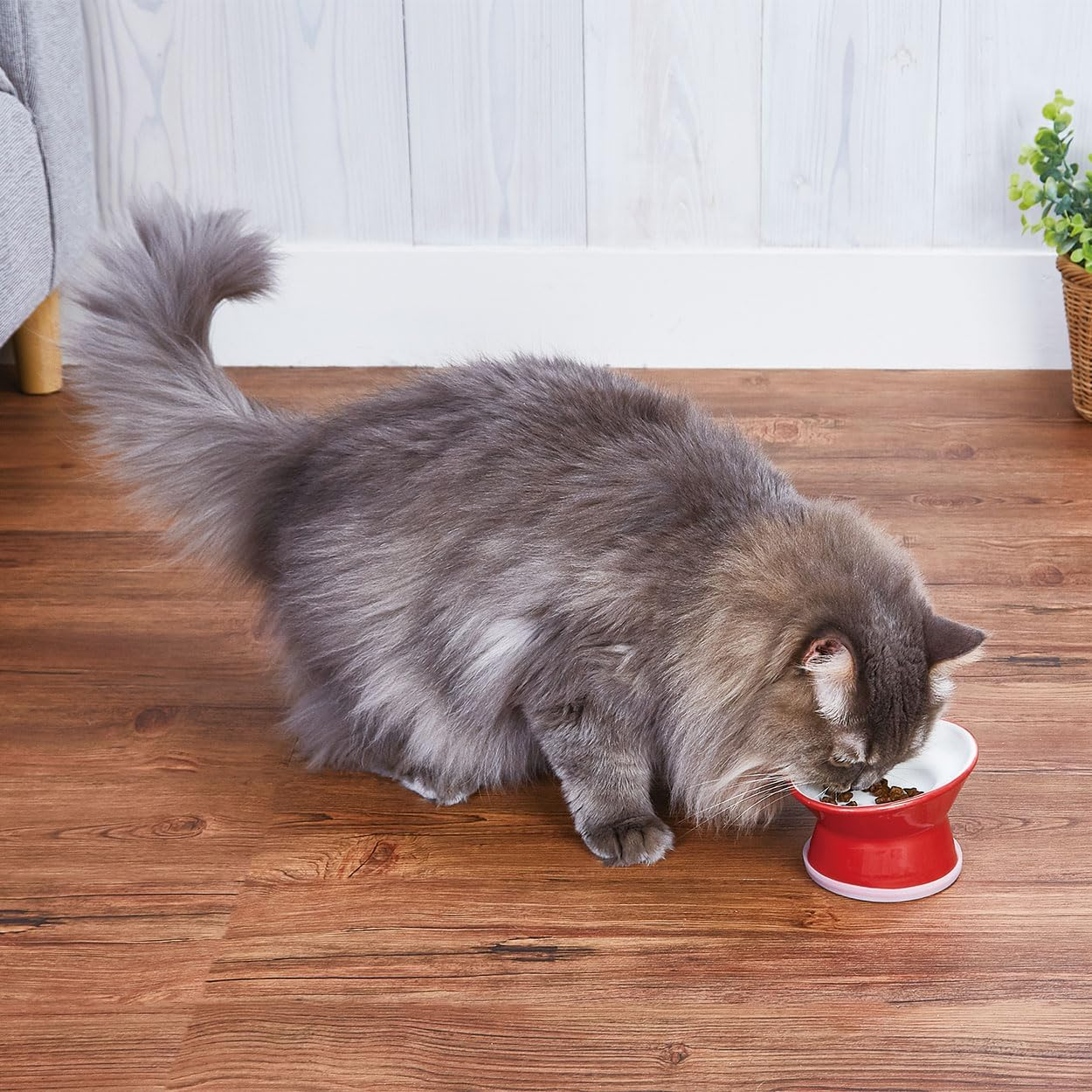 Add.Mate Cat Tableware, Easy to Eat, Stemware for Cats, Tuscany Red image number 4