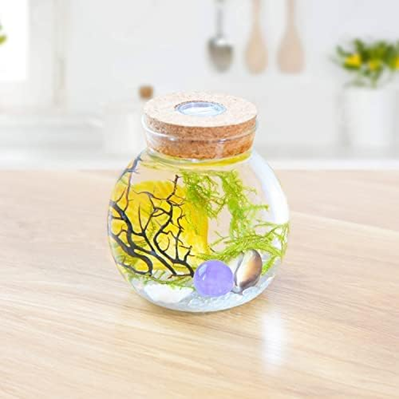 Aquarium Starter Kits Globe Fish Tank with LED Light Nightlight Lamps Mini Aquarium Kit with Java Moss (Style I)&hellip; image number 1