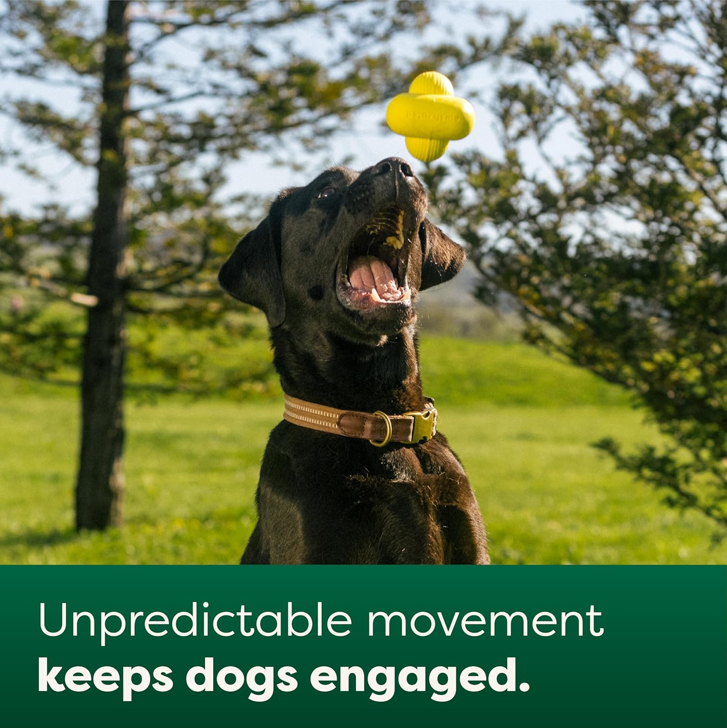 Earth Rated Dog Ball for Small, Medium and Large Dogs, Durable Natural Rubber Fetch Dog Toy, for Indoor and Outdoor Use, Large image number 4