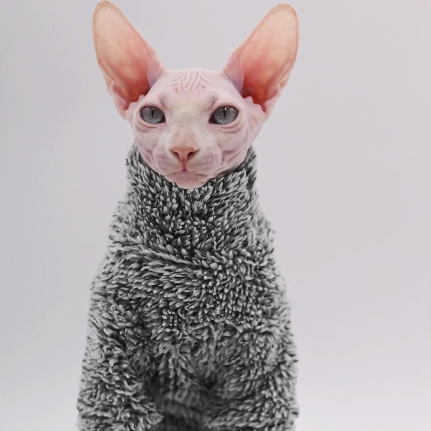 Hairless Cat Winter Coat Sphynx Cat Clothes Warm Soft Cat Jacket Plaid Cotton Hairless Cat Costumes with Zipper Cute Kittens Jumpsuit image number 1