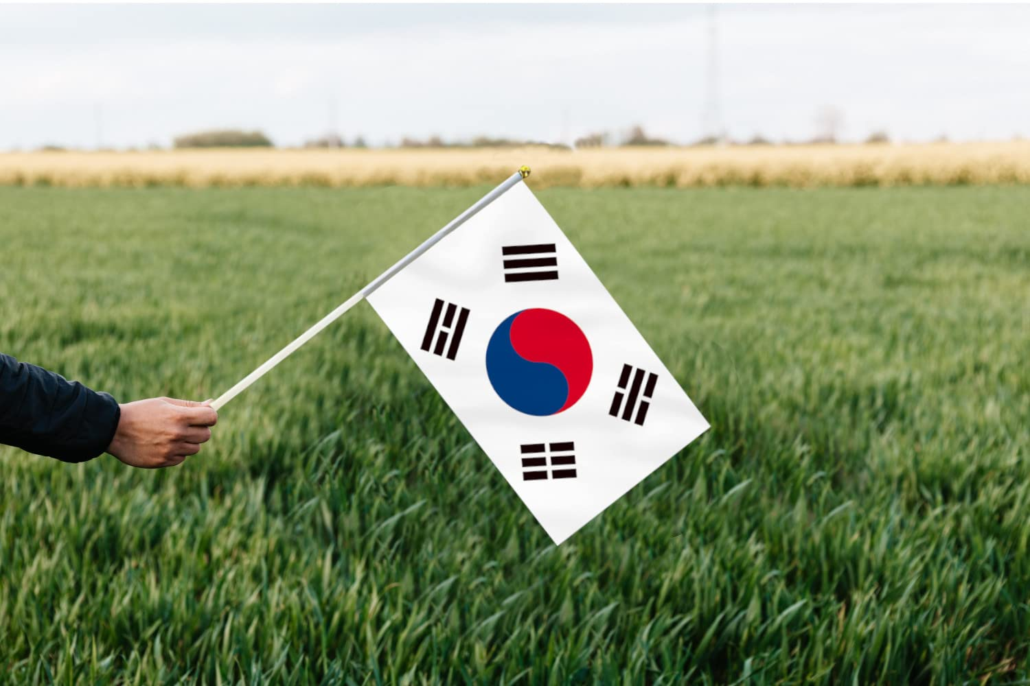 10 PCS Handheld the Republic of Korea Flag,8.5&times;5.5 Inch Hand Held Mini Korean Flags Banner for Indoor Outdoor Parade Waving the Tlag and Shouting image number 2