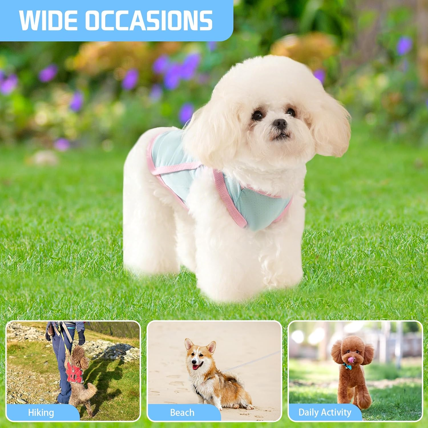 Yaopelky Dog Cat Dog Cooling Vest Summer Clothes with D Ring Breathable Quick Dry T Shirt Sun Protection Outdoor Activities (Blue, L, 4-5.5