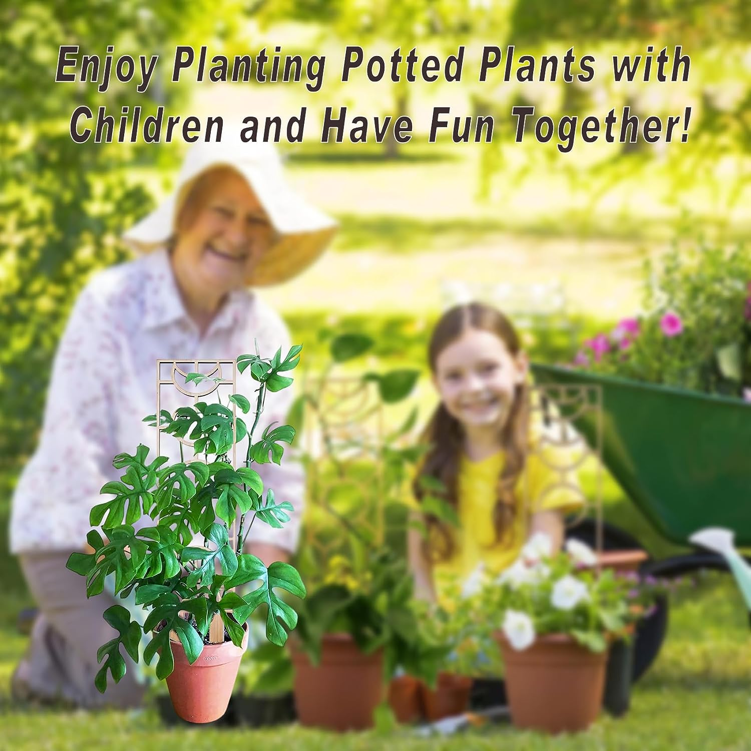 Wooden Plant Trellis, Small Garden Trellis for Climbing Plants Indoor Pot, 2 Pack Moon and Geometric Shape Design with Moisture-Proof Layer, Houseplants Decoration for Vines, Hoya (2Pcs, Au) image number 5