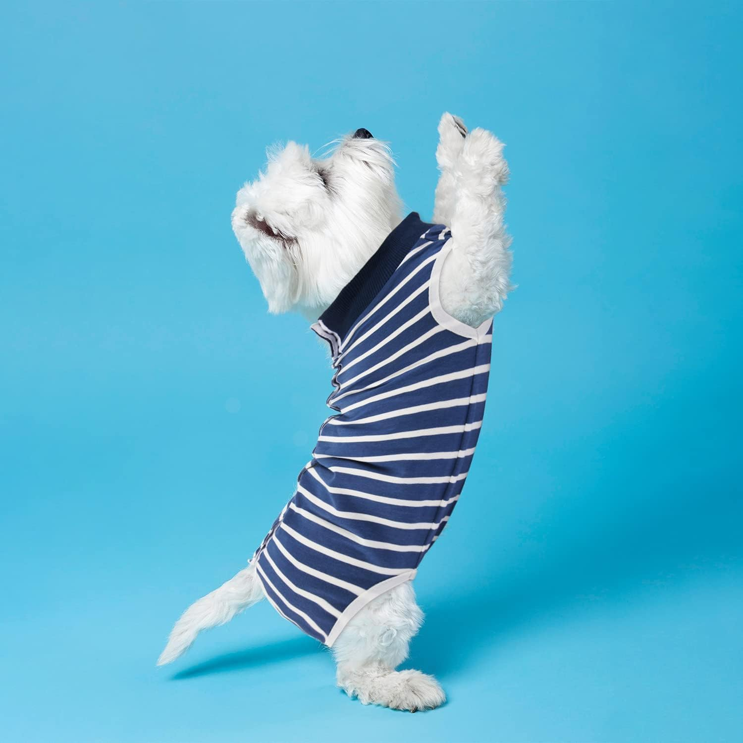Dog Recovery Suit Cats Bodysuits for Abdominal Wounds Recovery Shirt for Male Female Pet Surgical Snugly Suit after Surgery Anti-Licking Dog Onesies (Blue Stripe, XL) image number 4