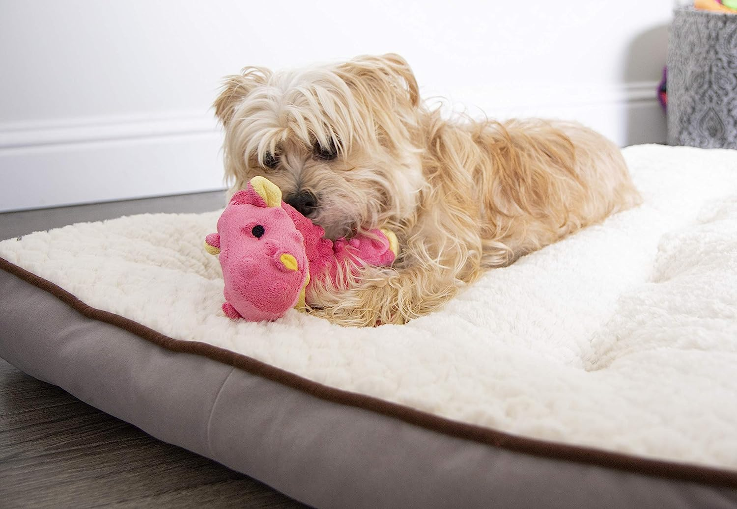 Sherpa Mini Dragon Coral