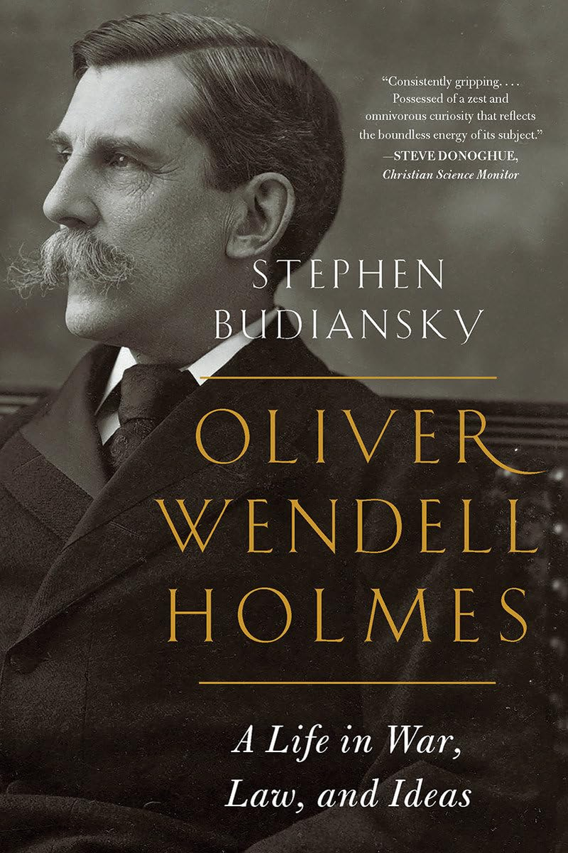 Oliver Wendell Holmes: a Life in War, Law, and Ideas - Paperback