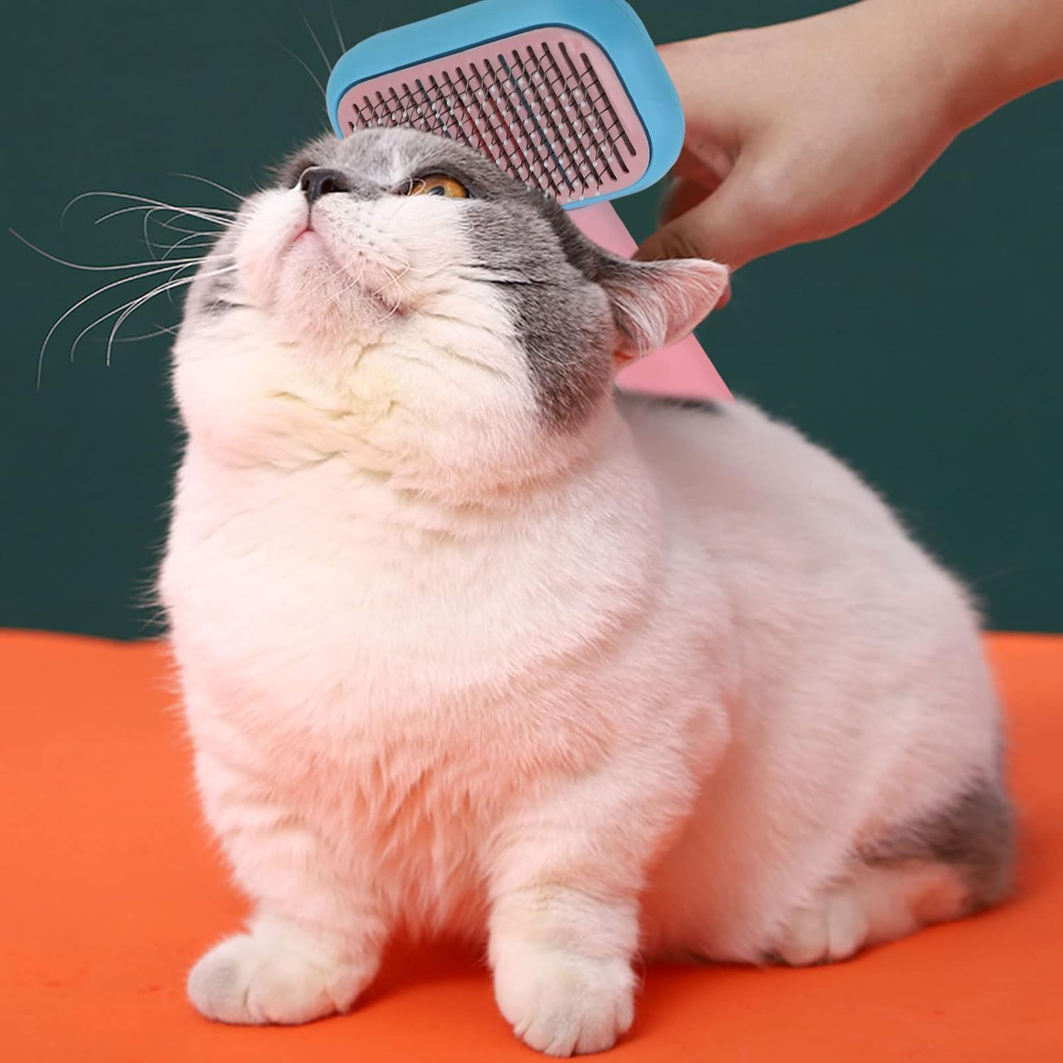 Pet Slicker Brush, Self Cleaning Massage Prevent Slip Dog Cat Grooming Comb, Pet Hair Brush Deshedding Dog Brush Cat Brush for Shedding Hair