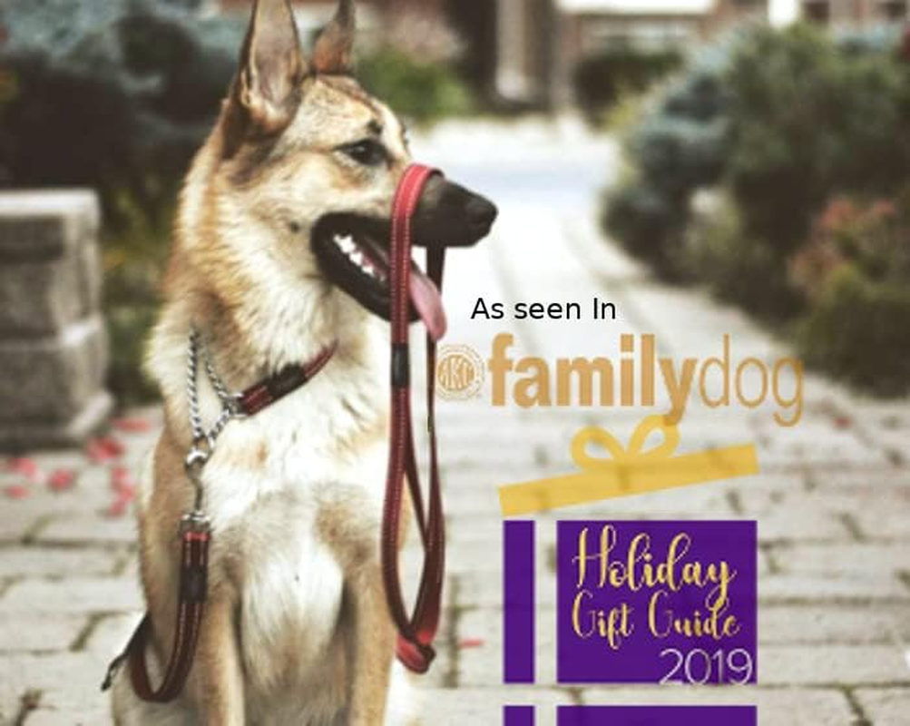 Rogz Obedience Dog Collar, Black, X-Large