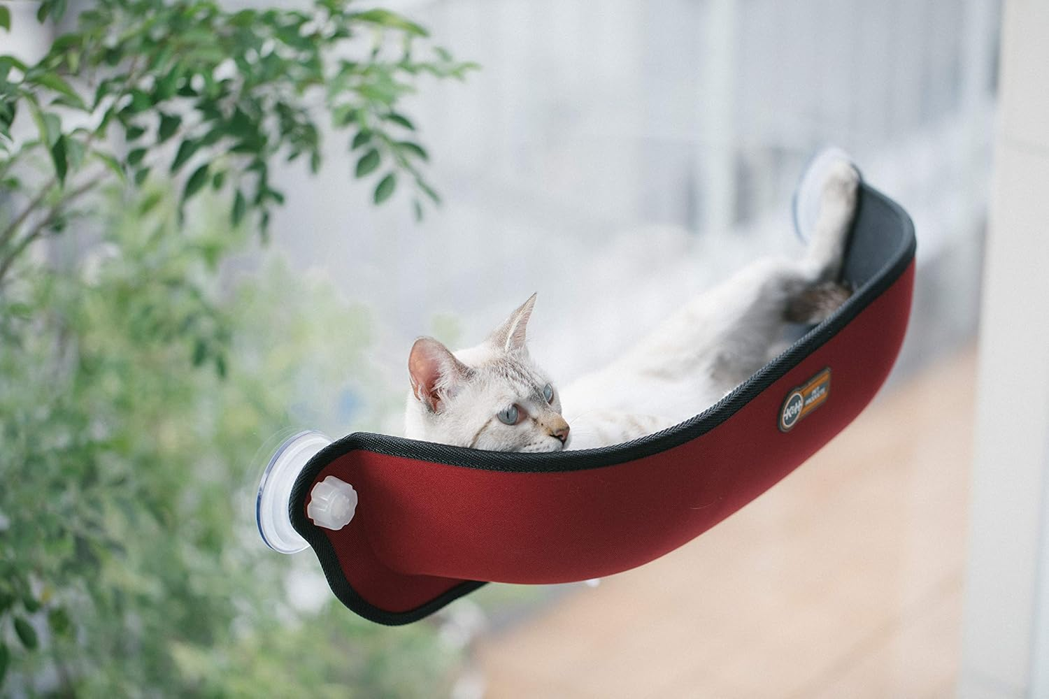 K&H Window Bed Kitty SILL GREY/KHBD6295GR/WINDOW 6295GR/WINDOW Bed Suction CAT Bed Screw Bed Suction CAT Bed Suction CAT Bed Grey/Screw CAT Bed Suction CAT Bed Grey CAT Bed