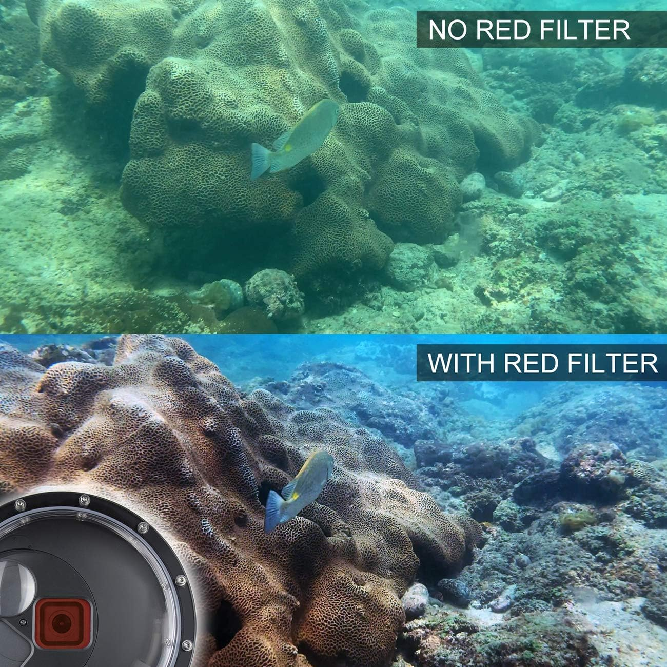 SOONSUN Dome Port for Gopro Hero 9 10 11 12 13 Black, Underwater Dome Lens with Waterproof Housing Case Built-In Switchable Red Filter, 10X Close-Up Macro Filter and Standard Mode image number 4