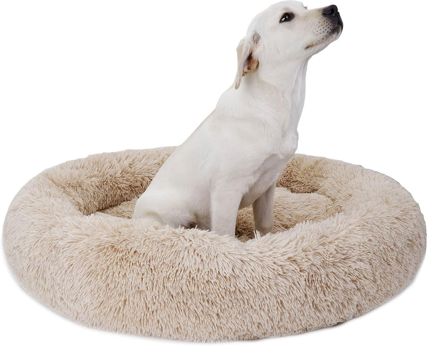 Baronhong Calming Dog Bed & Cat Bed,Anti-Anxiety Donut Dog Cuddler Bed,Warming Cozy Soft Dog round Bed,Fluffy Faux Fur Plush Dog Cat Cushion Bed for Small Medium Large Dogs and Cats(Blue,20") image number 3