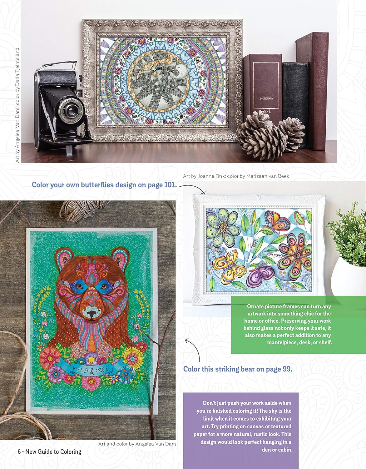 New Guide to Coloring for Crafts, Adult Coloring Books, and Other Coloristas!: Tips, Tricks, and Techniques for All Skill Levels!