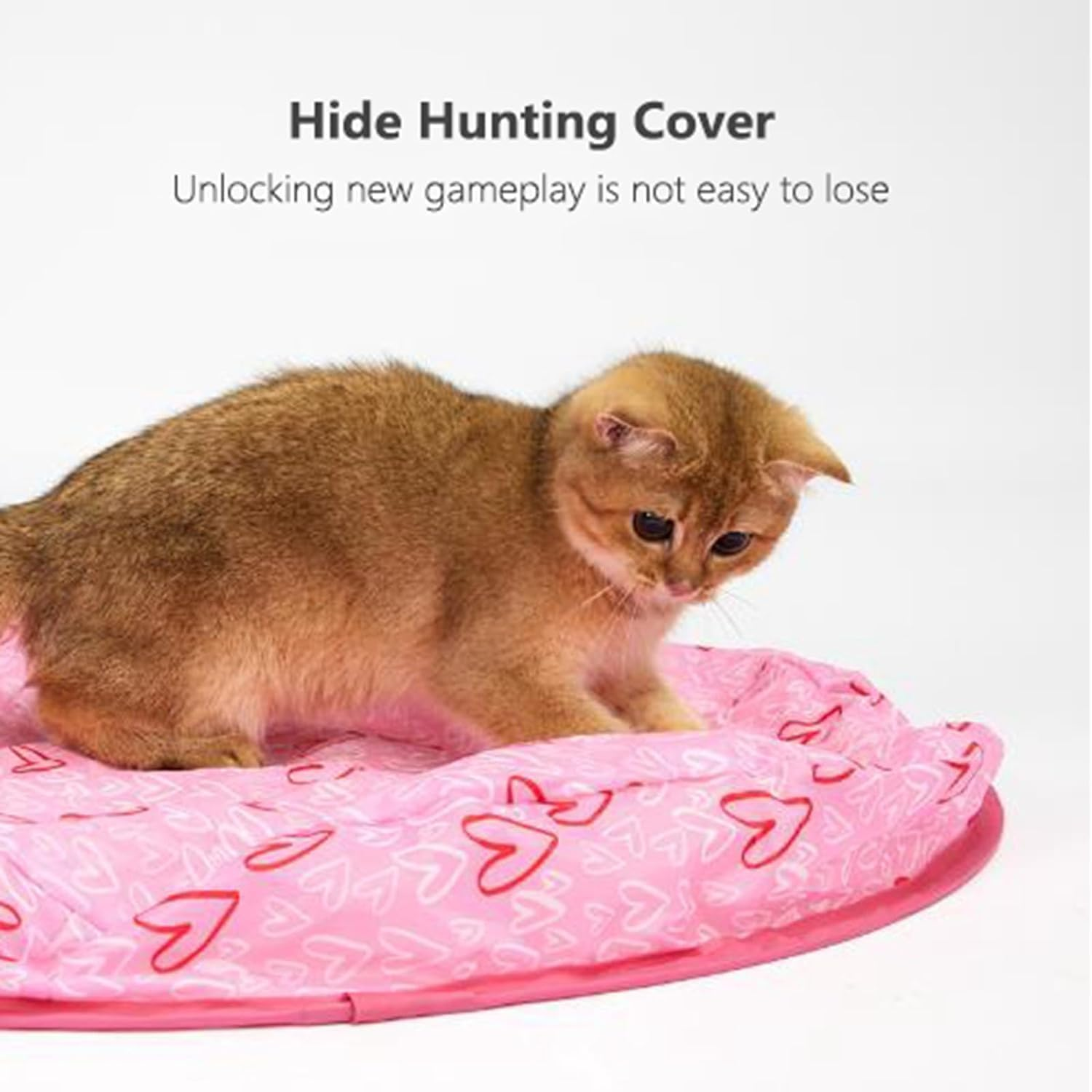 Shengruili Interactive Cat Toy Mat, Cat Play Mat, Cat Play Mat, Cat Toy Cat Mat, Hunting Cat Mat Toy, Interactive Training Mat for Stimulates Hunting Instinct image number 4