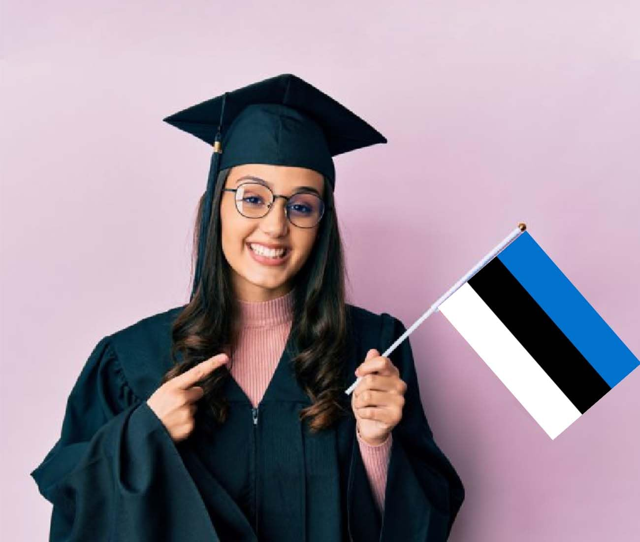 10 PCS Estonia Handheld Small Flag, Estonians Hand Held Mini Decor Decoration Banner