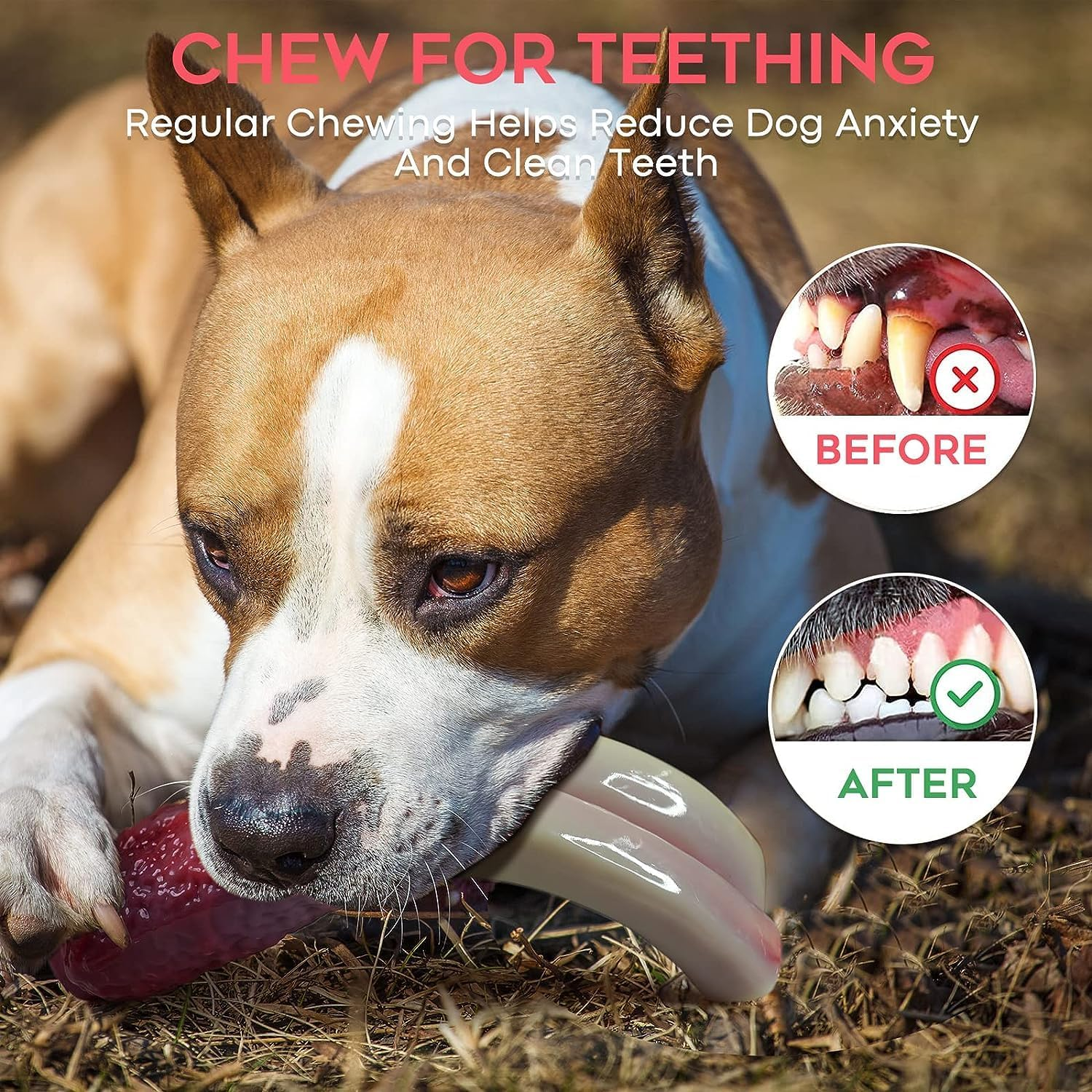 Wikiray Dog Chew Toy for Aggressive Chewers &ndash; Durable Nylon Bone with Bacon Flavour &ndash; Tough & Interactive Dog Toy for Medium & Small Dogs (Up to 12Kg) image number 6