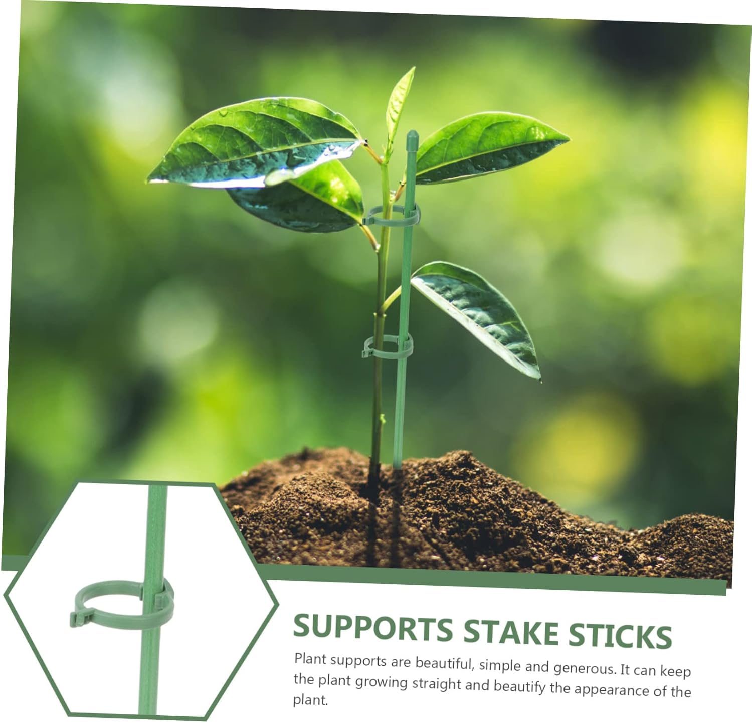 FONDOTIN 10 Pcs Garden Plant Support Stakes Single Stem Plant Stakes and Roses for Gardening image number 4