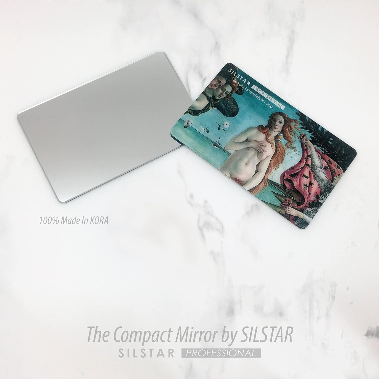 SILSTAR PROFESSIONAL Compact Card Mirror, Unbreakable Acrylic Makeup Mirror (Grant Wood_American Gothic) 156 image number 3
