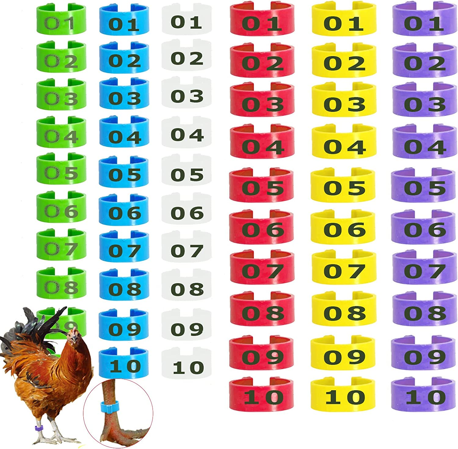 60PCS Numbered Chicken Leg Rings, 16 Mm, 20 Mm 6 Color 2 Sizes Clip-On Plastic round Identificaiton Tags Foot Loop Band, for Ducks, Seafige, Goose Wild Poultry, Turkeys image number 6