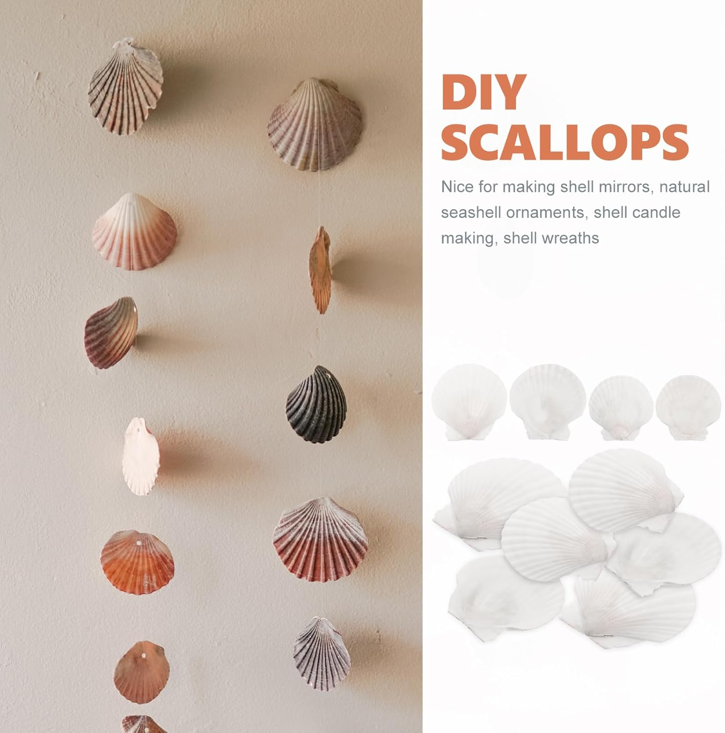 Yardwe Large Natural Scallop Shell Decoration Set 7X7 Inches White Seashells for DIY Crafts Home Decor Candle Making Aquarium Ornament Wreath Embellishment image number 3