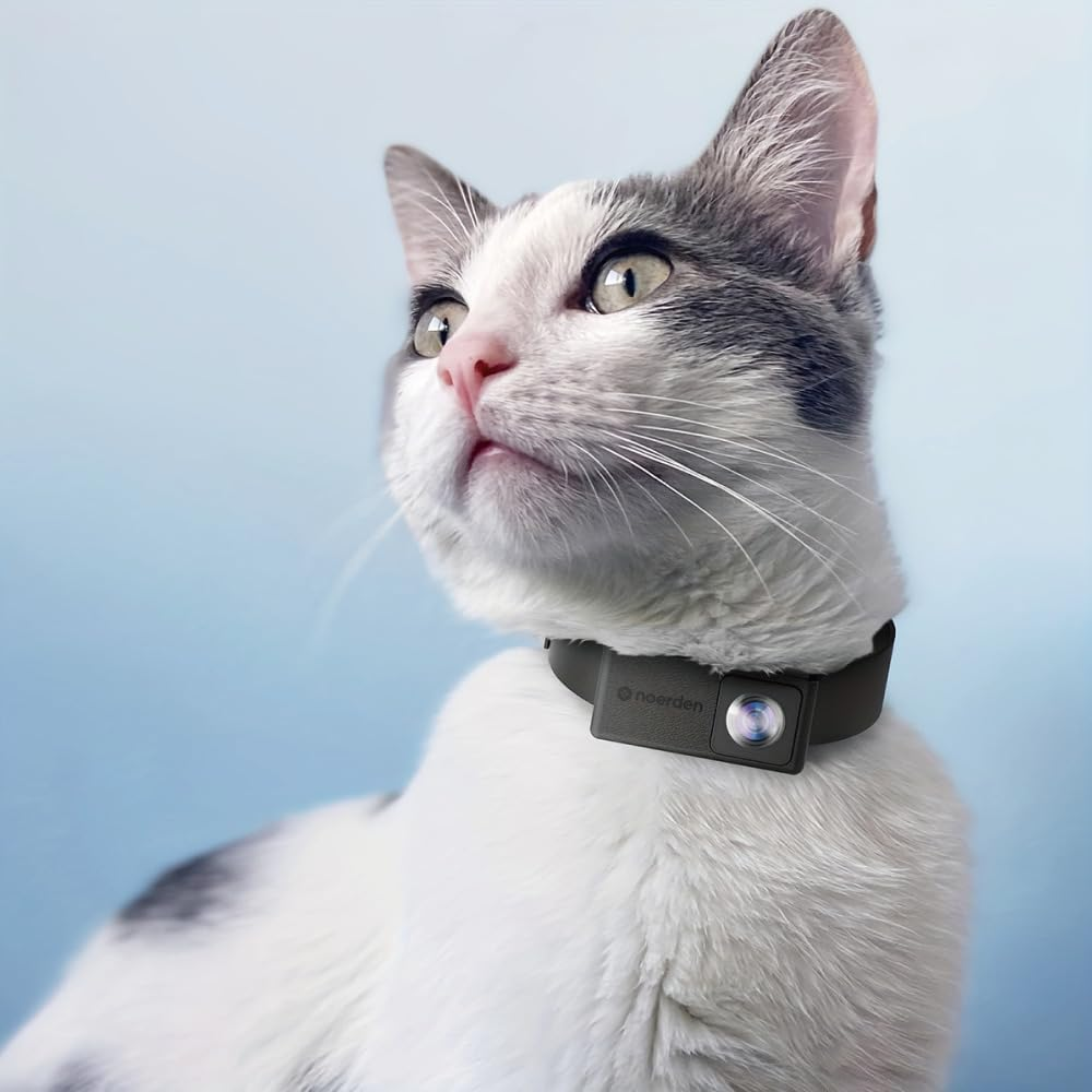 Noerden Petpov, HD Pet Camera Collar, View Life through Your Pets Eyes, Ideal for Dog and Cat image number 4