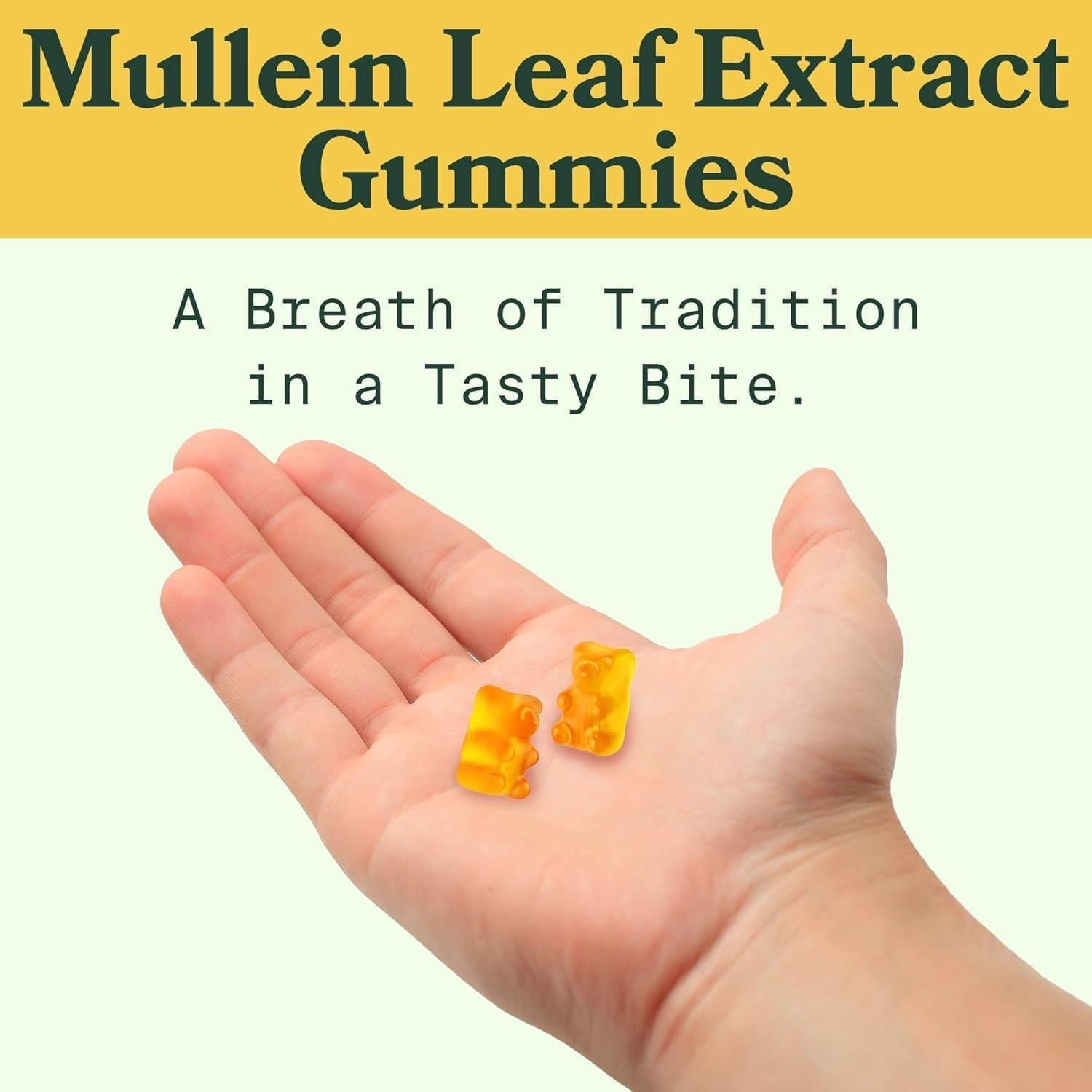 Mullein Gummies, Mullein Leaf Herb Extract for Lungs Health, Mullein Gummies for Men and Women image number 1