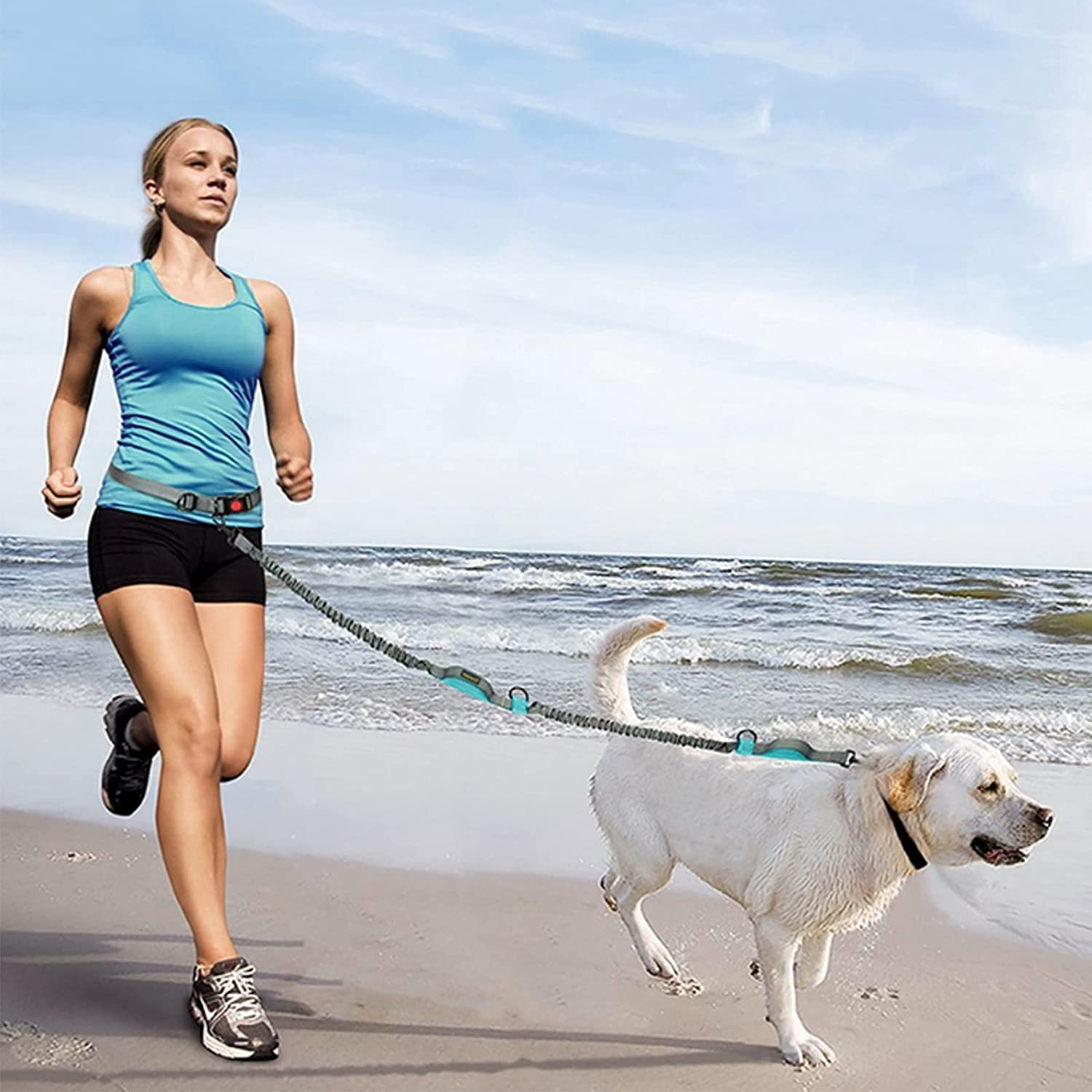 Hands Free Dog Lead for Dog Walking Running Jogging, Retractable, Dual Handle, Shock Absorber, Soft Foam Padding, Adjustable Wasit Leash image number 2