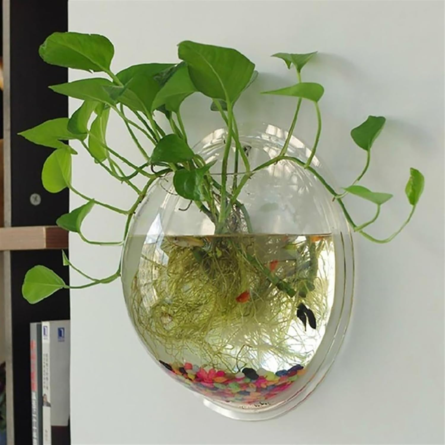 Aquariums Fish Tank Wall-Mounted Acrylic Aquarium Tank round Transparent Wall-Mounted Fish Tank Home Decoration Aquatic Plant Culture Fish Bowl image number 2
