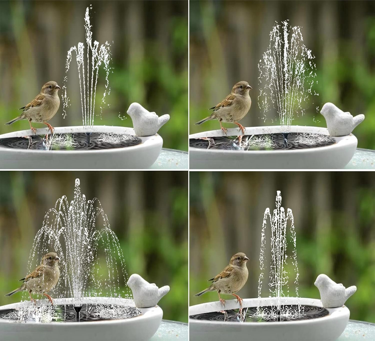 Lewisia 5W Solar Fountain Pump for Pool Pond Bird Bath Garden Decoration Submersible Fountain Pump Kit image number 2