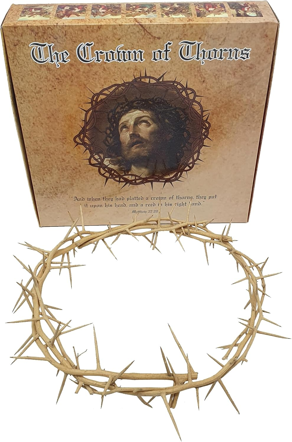 Jerusalem Authentic Biblical Lifesize Real Crown of Thorns with Box & Zuluf Certificate | Religious Easter Wreath Home D&eacute;cor Tree Topper | Jesus Christ Wall Decor Christmas Christian Gifts| HLG214 image number 4