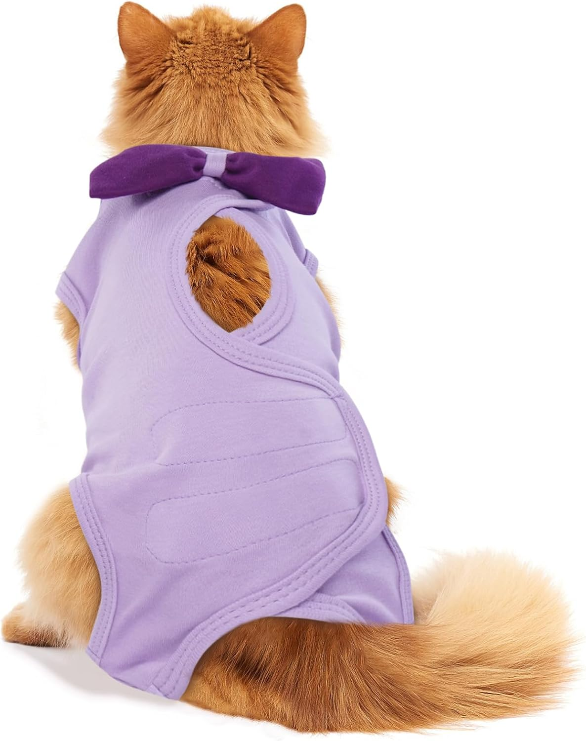 DENTRUN Cat Recovery Suit, Cat Onesie for Post Spay Surgery Vest Female Kitten Shirts anti Licking Suit, Cat Premium Soft Vest Cone E-Collar Alternative Neuter Surgical Suit for Male Cats Apparel image number 1